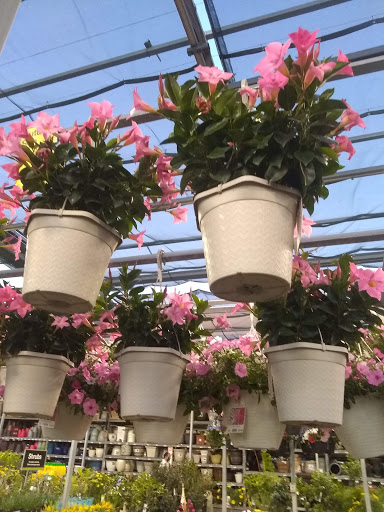 Home Improvement Store «The Home Depot», reviews and photos, 435 W Katella Ave, Orange, CA 92867, USA