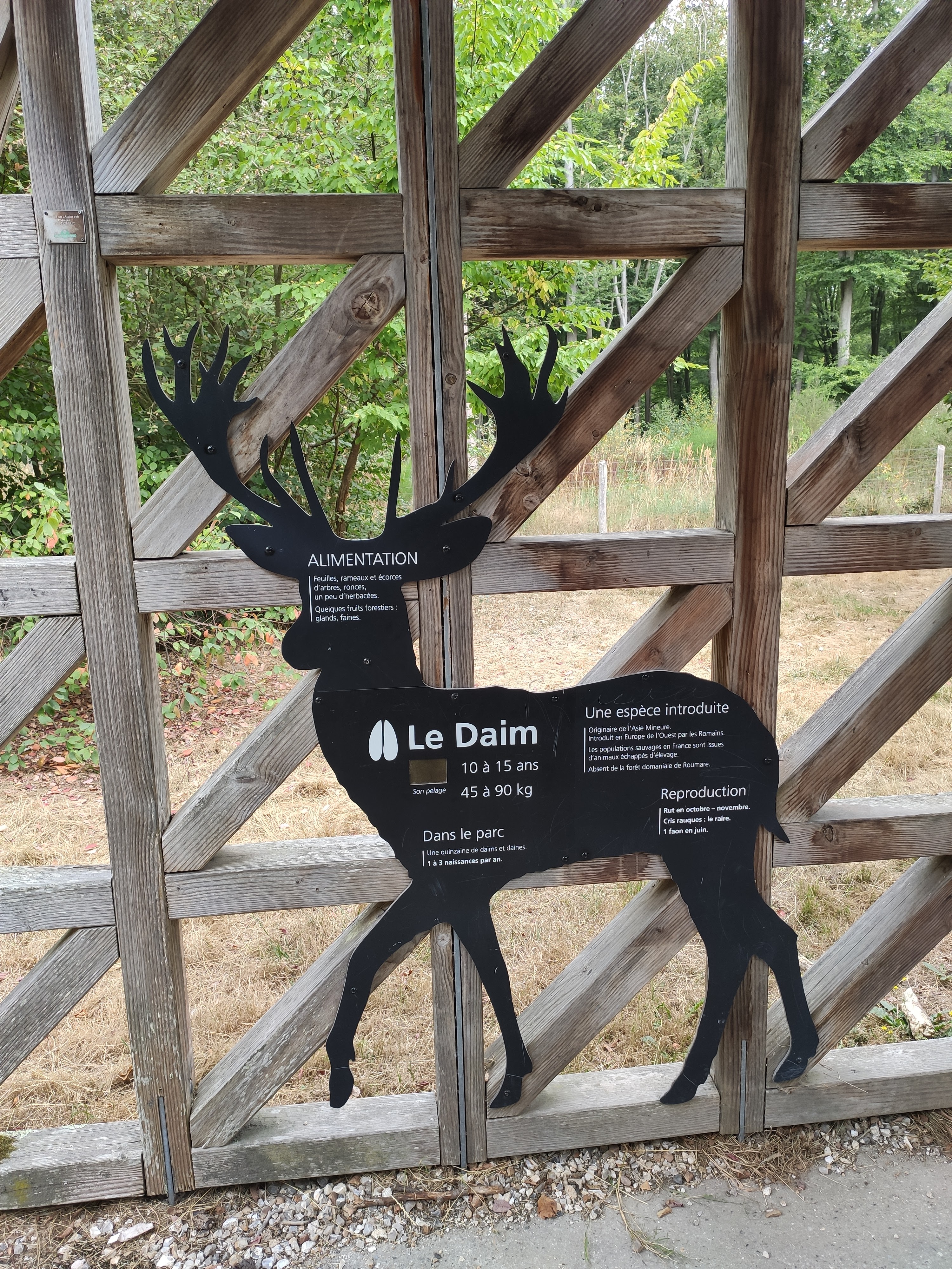 Photo n° 4 de l'avis de LAMBERT.r fait le 16/08/2022 à 19:17