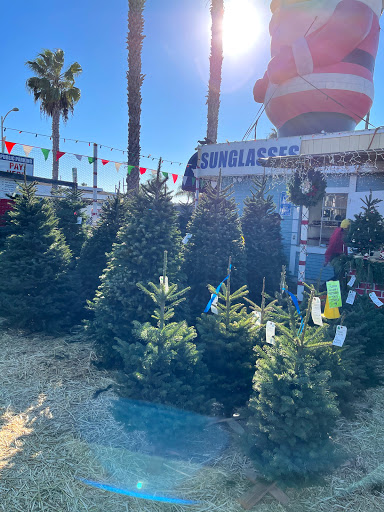 Christmas Tree Country