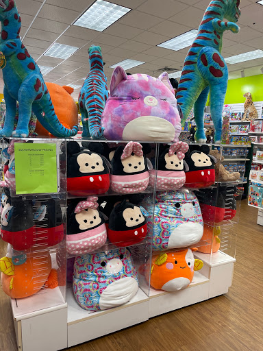 Toy Store «Learning Express», reviews and photos, 255 E Basse Rd, San Antonio, TX 78209, USA