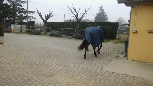 Allevamento Folli S.R.L. Via Seminaria, 2, 40027 Mordano BO, Italia