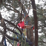 Photo n° 12 de l'avis de BAHET.a fait le 16/03/2019 à 08:20 pour Village vacances Cévéo de Mesquer - Pays de Guérande 