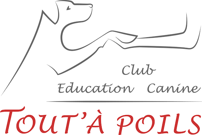 Rezensionen über Club d'Education Canine - Tout'à Poils in Sitten - Hundeschule