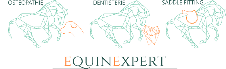 EquinExpert - Margaux Reynolds - technicien dentaire équin & saddle fitter & Ostéopathe équin, canin, Pferdezahnarzt, Pferd und Tier Osteopath, Sattelanpassung