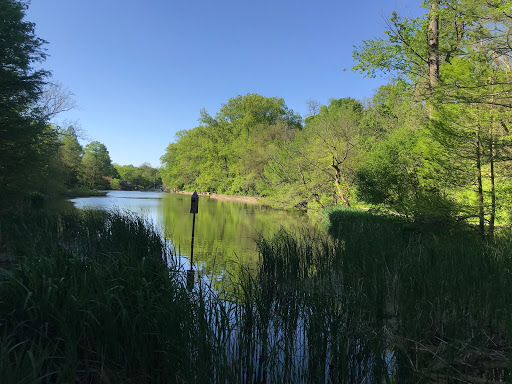 Park «Burnet Woods», reviews and photos, 3251 Brookline Ave, Cincinnati, OH 45220, USA