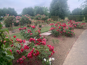 Photo n°18 de Crématorium et Parc Mémorial du Pays d'Artois à Beaurains ()