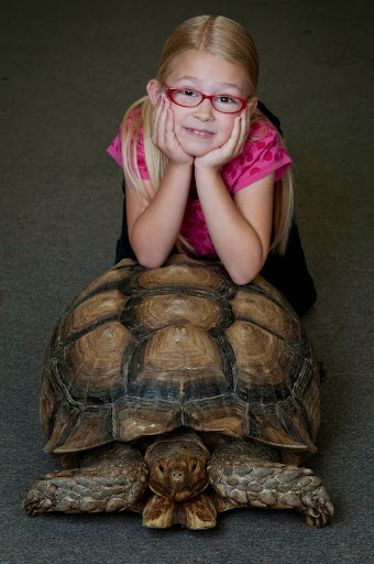 Event Planner «Jurassic Parties», reviews and photos, 18818 Brookhurst St, Fountain Valley, CA 92708, USA