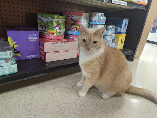 Pet Supply Store «Sunflower Natural Pet Supplies», reviews and photos, 514 Pillsbury Dr, Manhattan, KS 66502, USA