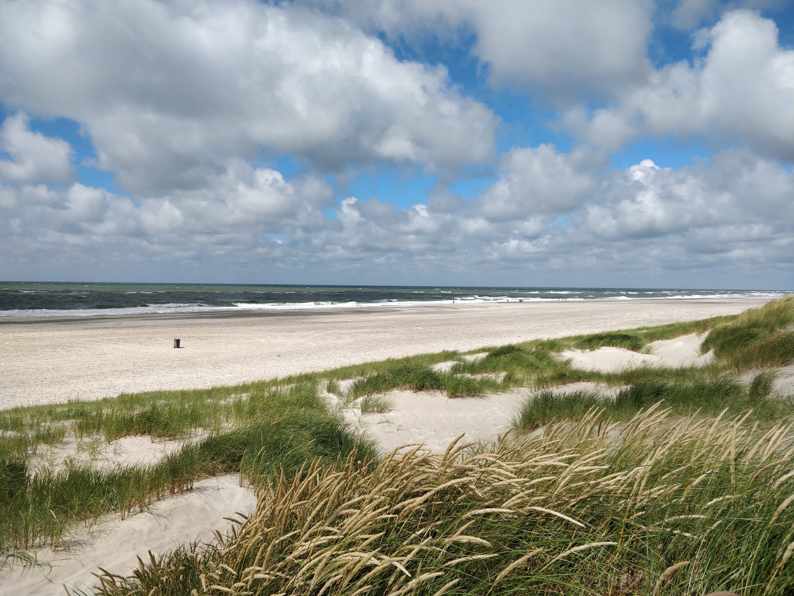 Foto von Nymindegab Beach annehmlichkeitenbereich