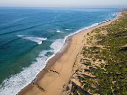 Rye Ocean Beach'in fotoğrafı çok temiz temizlik seviyesi ile