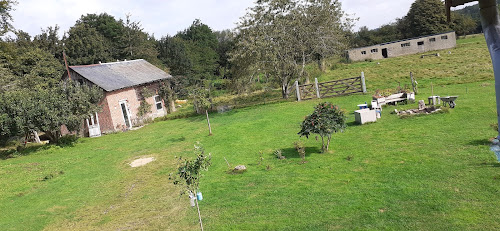 Le buisson fleuri à La Ferté-en-Ouche