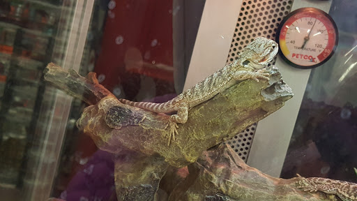 Pet Supply Store «Petco Animal Supplies», reviews and photos, 14051 Aldrich Ave S, Burnsville, MN 55337, USA