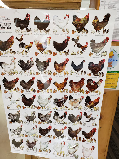 Animal Feed Store «Reber Ranch», reviews and photos, 28606 132nd Ave SE, Kent, WA 98042, USA