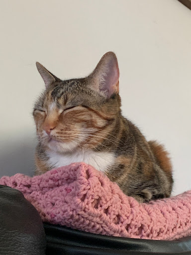 Honda Dealer «Moto United-Honda Suzuki of Salt Lake», reviews and photos, 2354 State St, Salt Lake City, UT 84115, USA