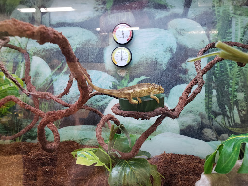 Pet Supply Store «Petco Animal Supplies», reviews and photos, 645 S Green Valley Pkwy, Henderson, NV 89052, USA