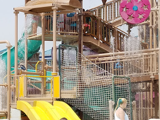 Amusement Park «Wild Waves Theme & Water Park», reviews and photos, 36201 Enchanted Pkwy S, Federal Way, WA 98003, USA