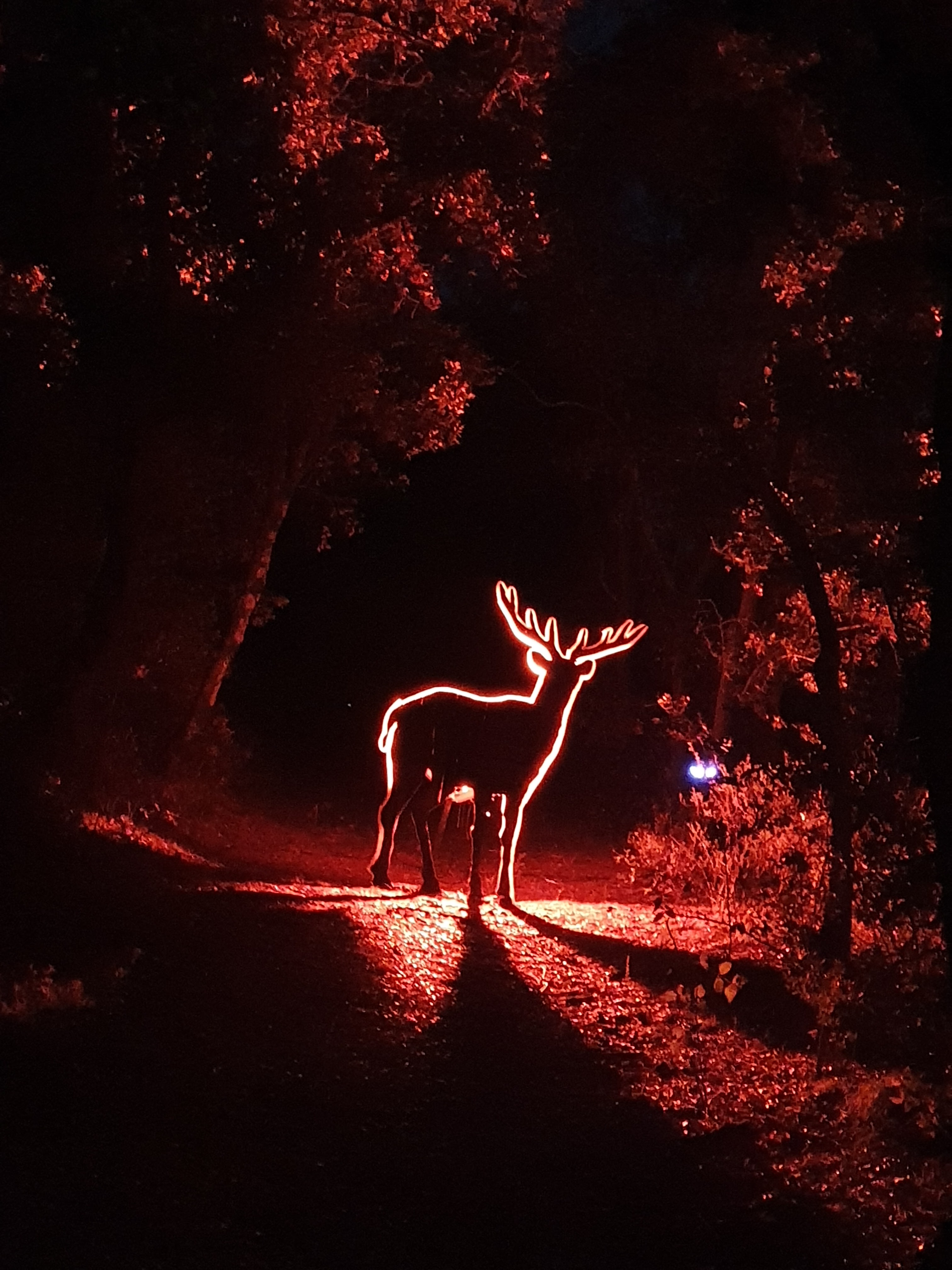 Photo n° 2 de l'avis de Jef.k fait le 29/09/2023 à 20:13