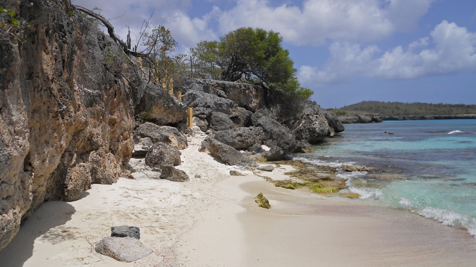 Photo de Wayaka Beach entouré de montagnes