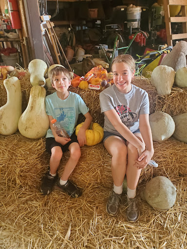 Christmas Tree Farm «Piney Acres», reviews and photos, 1115 E 1000 N, Fortville, IN 46040, USA