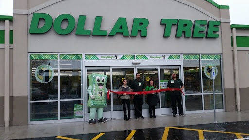 Dollar Store «Dollar Tree», reviews and photos, 383 Allen St, Springfield, MA 01118, USA