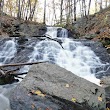 Fore River Sanctuary