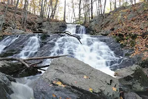 Fore River Sanctuary image