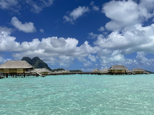 Travel Agency «Pique Travel Design», reviews and photos, 362 3rd St, Excelsior, MN 55331, USA