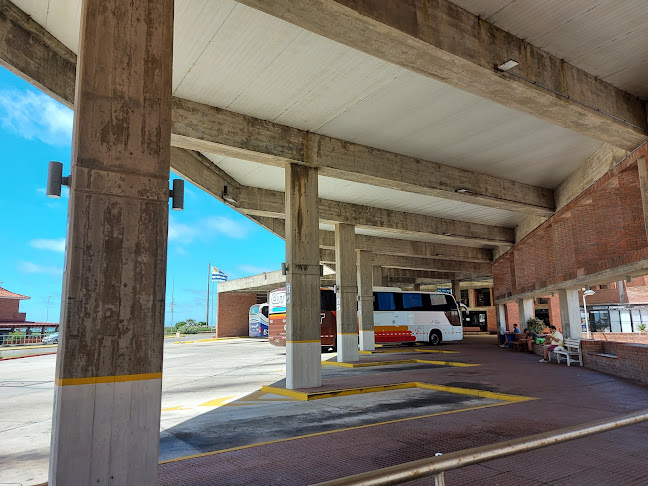 Opiniones de Terminal de Ómnibus Punta del Este en Maldonado - Agencia de viajes
