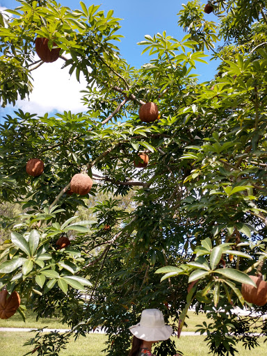 Park «Owl Park», reviews and photos, SW 26th St, Davie, FL 33325, USA