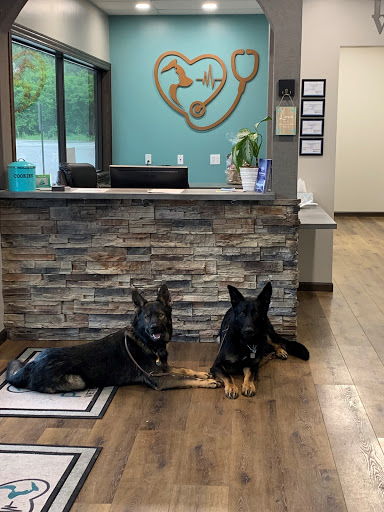 Premier Veterinary Care image