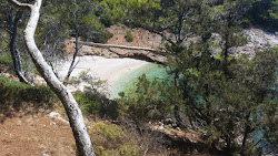 Photo de Piscena beach situé dans une zone naturelle