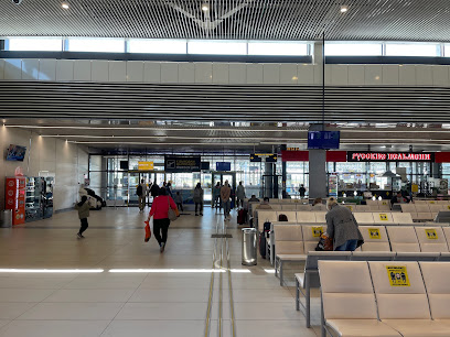 Міжнародний аеропорт «Витязево»