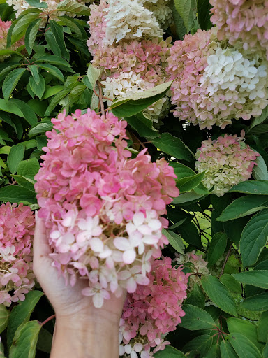 Park «Hopatcong State Park», reviews and photos, 260 Lakeside Blvd, Landing, NJ 07850, USA