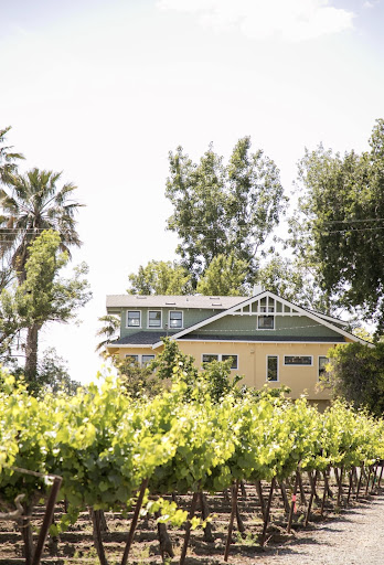 Vineyard «Scribner Bend Vineyards», reviews and photos, 9051 River Rd, Sacramento, CA 95832, USA