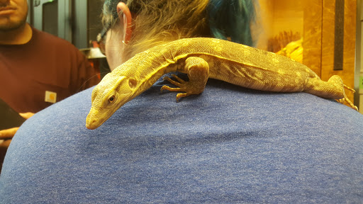 Pet Store «Zoo Creatures Pet Store», reviews and photos, 149 Plaistow Rd, Plaistow, NH 03865, USA