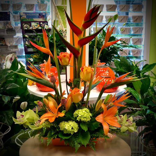 Florist «Seminole Florist», reviews and photos, 8613 Seminole Blvd, Seminole, FL 33772, USA