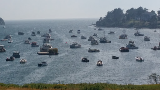 Nature Preserve «Johnson Field Preserve at Mackerel Cove», reviews and photos, 25 Abner Point Rd, Bailey Island, ME 04003, USA