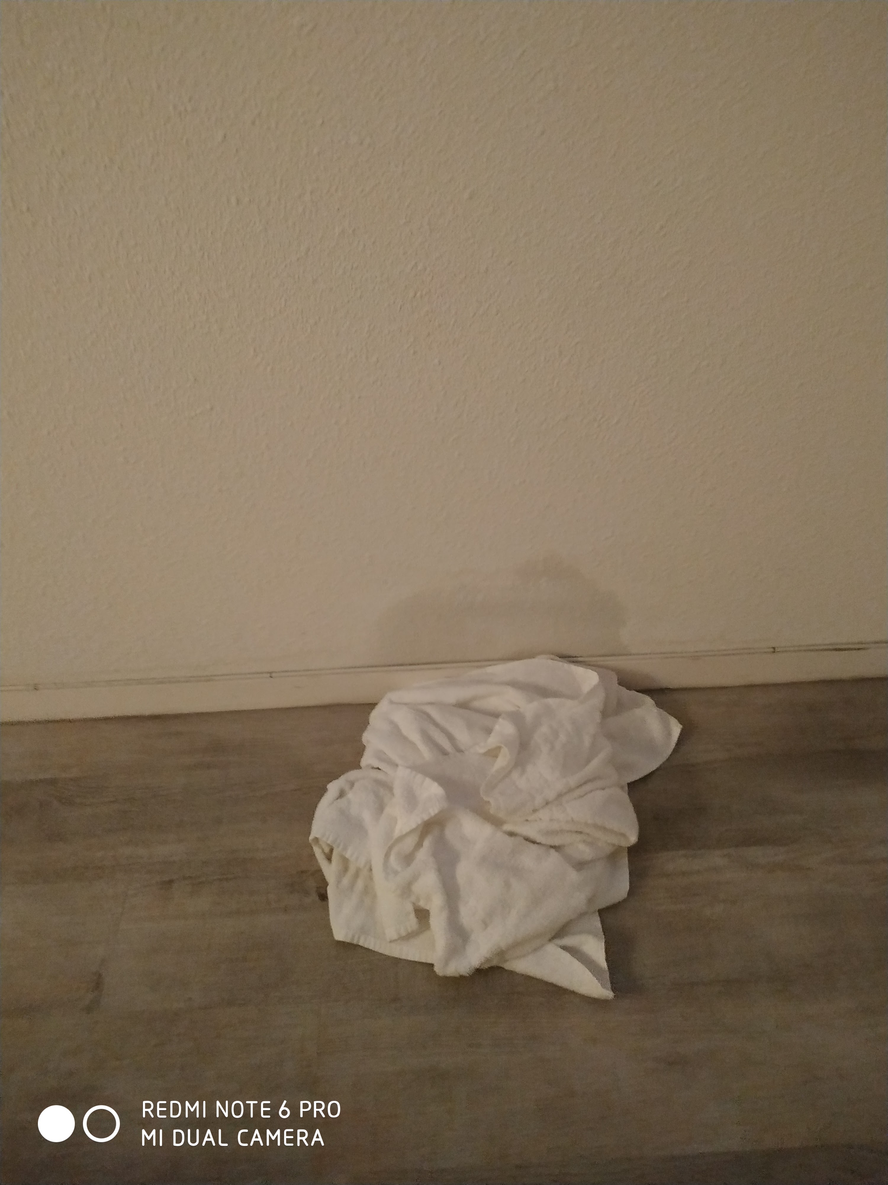 Photo n° 1 de l'avis de Ayoub.d fait le 01/09/2019 à 15:39
