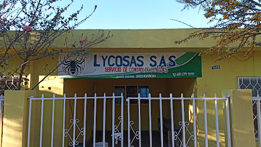 LYCOSAS S.A.S.