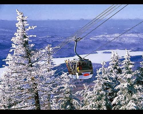 Tour Operator «Ski Travel», reviews and photos, 3936 Old Lee Hwy, Fairfax, VA 22030, USA