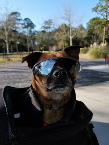 Pet Supply Store «Petco Animal Supplies», reviews and photos, 280 Kensington Blvd, Slidell, LA 70458, USA