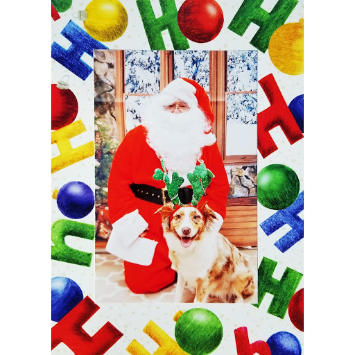 Pet Supply Store «Care-A-Lot Pet Supply Indian River», reviews and photos, 5457 Indian River Rd, Virginia Beach, VA 23464, USA