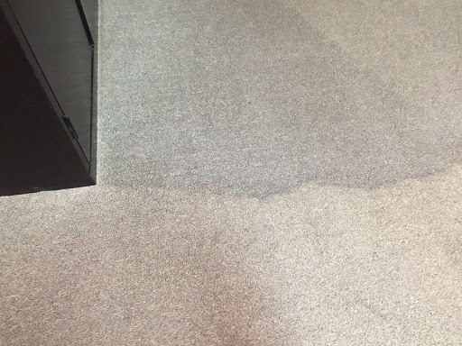 Carpet Cleaning Service «Elite Carpet Cleaning Service», reviews and photos, 29031 Glenarden St, Farmington Hills, MI 48334, USA