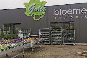 Golie Bloemen en Planten image