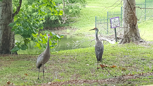 Golf Club «Heathrow Country Club», reviews and photos, 1200 Bridgewater Dr, Heathrow, FL 32746, USA