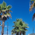 Photo n°4 de l'avis de Adriano.h fait le 07/08/2023 à 11:49 sur le  Reem Restaurant - Beach à Marina di Pescoluse