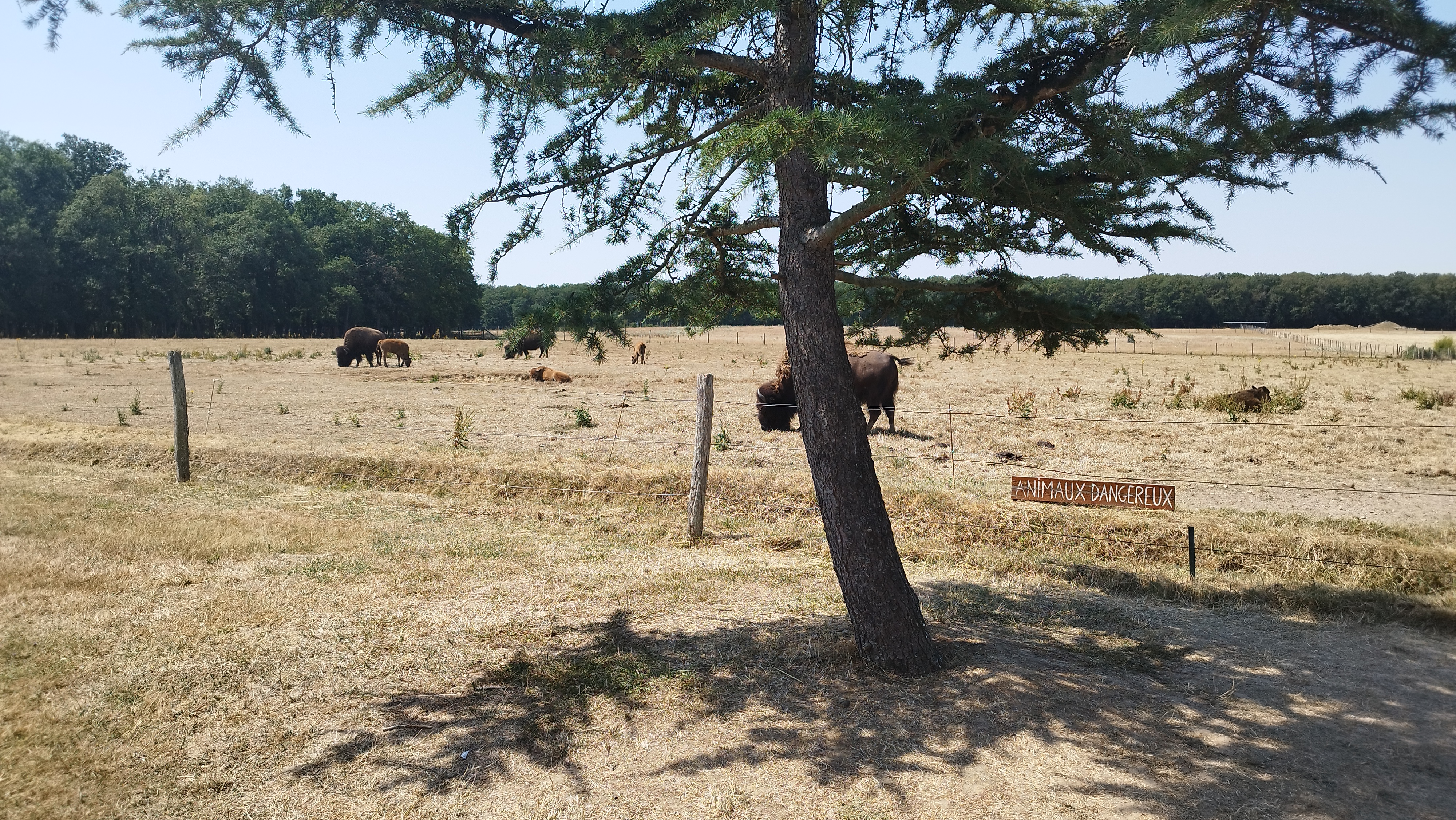 Photo n° 12 de l'avis de Key. fait le 19/07/2022 à 15:42