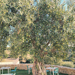 Photo n°1 de l'avis de Alessandro.a fait le 09/10/2023 à 09:26 sur le  Terre di Romanello Relais in Val di Noto à Noto