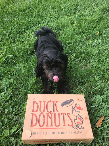 Donut Shop «Duck Donuts», reviews and photos, 2097 Fruitville Pike, Lancaster, PA 17601, USA