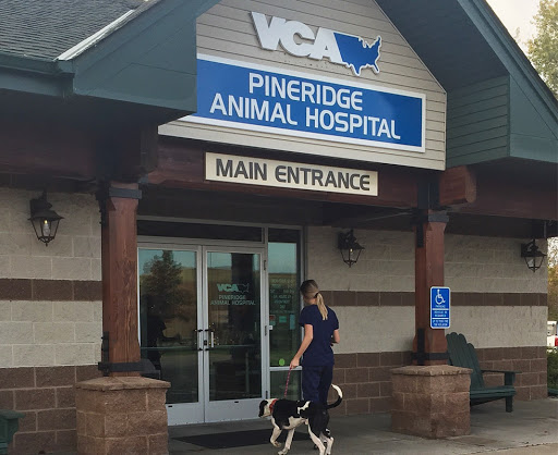 VCA PineRidge Animal Hospital image